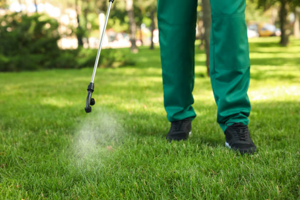 Best Rodent Control Near Me  in Round Lake Heights, IL