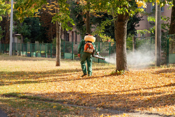 Best Mosquito Control Services  in Round Lake Heights, IL