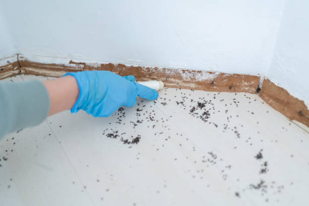 Best Pest Control Near Me  in Round Lake Heights, IL
